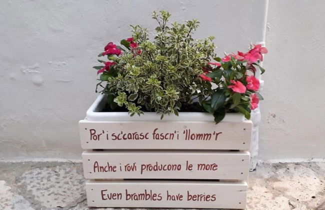 Il Vicolo B&B - Foto 49