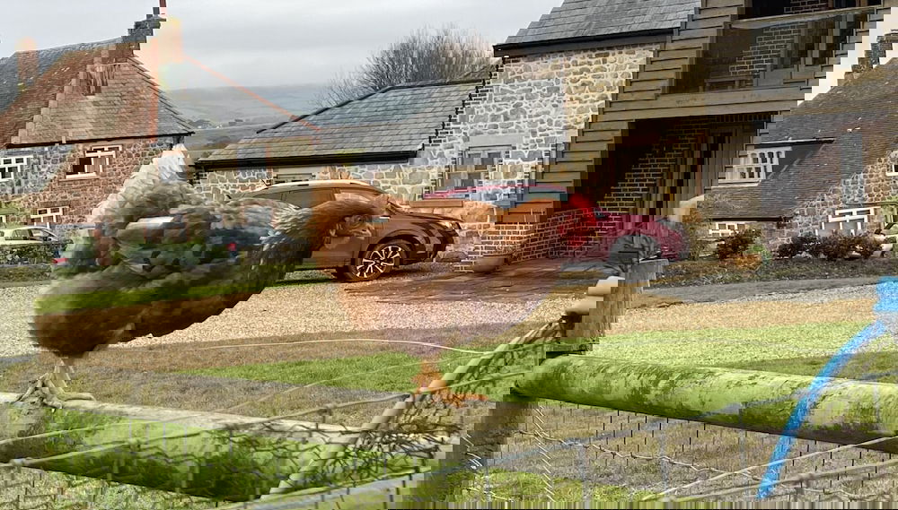 Primary image