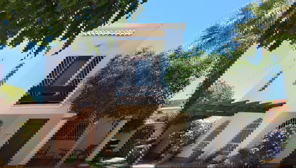Imagem principal