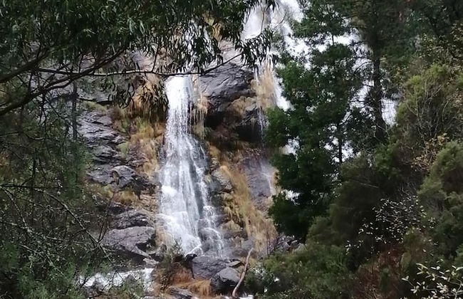 O Cruceiro - Foto 40
