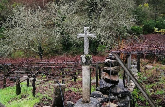 O Cruceiro - Foto 38