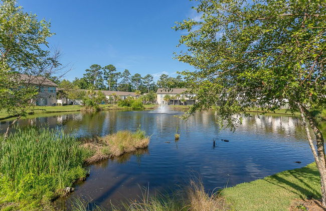 1203 Reserve Lane by Hodnett Cooper - Photo 29