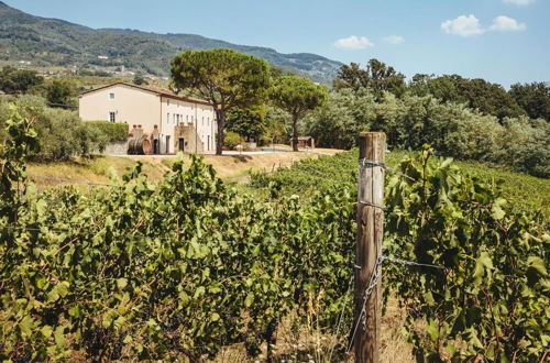 Photo 53 - Fattoria Camigliano Wine Estate