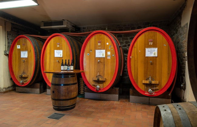 Fattoria Camigliano Wine Estate - Foto 57