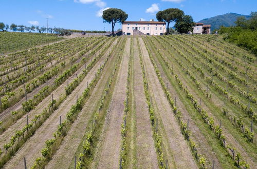 Photo 26 - Fattoria Camigliano Wine Estate