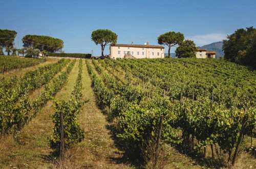 Photo 25 - Fattoria Camigliano Wine Estate