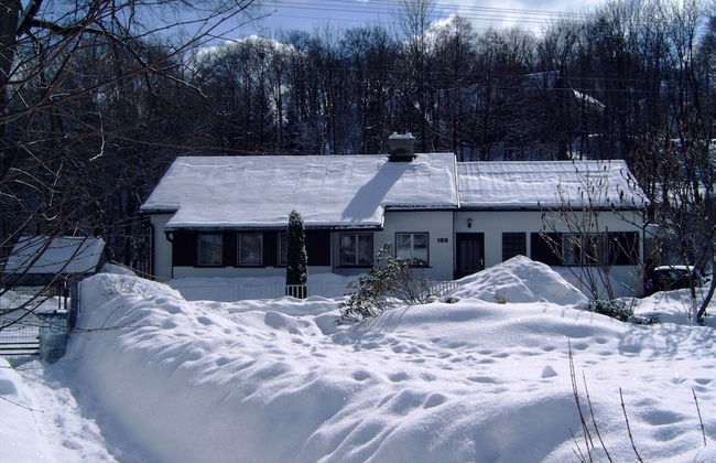 Serene Holiday Home in Mladé Buky with Private Pool and Trampoline - Foto 27