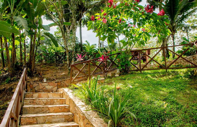 Hotel Cantinho Das Flores - Foto 45