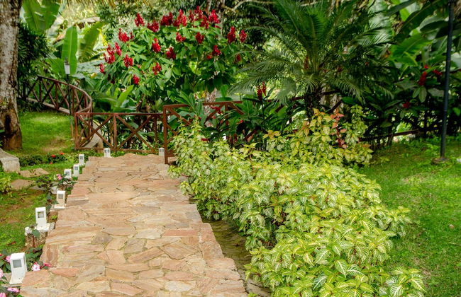 Hotel Cantinho Das Flores - Foto 48
