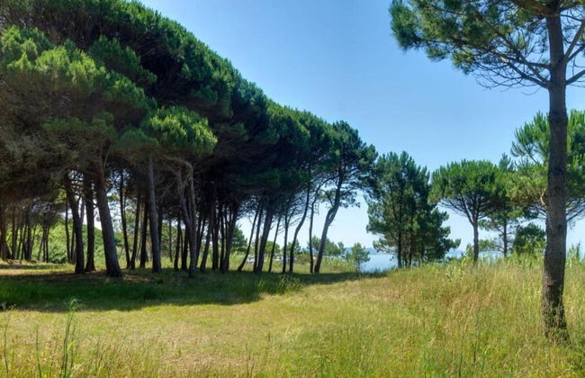 Holiday Home in Daverdisse With Garden - Foto 22