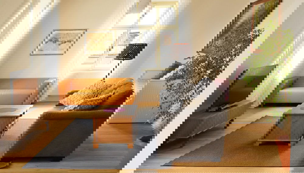 Imagem principal