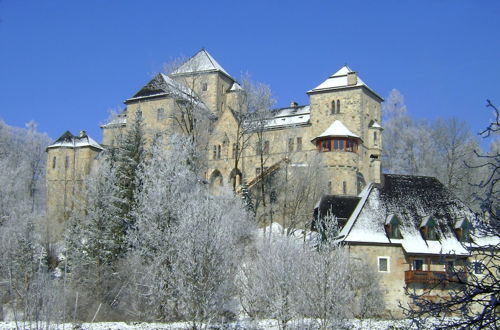 Foto 62 - Schloss Fischhorn am See