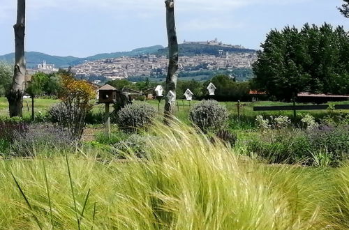 Foto 73 - Il Fienile di Assisi