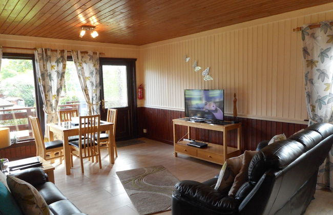 Birch Lodge 13 with Hot Tub - Foto 7