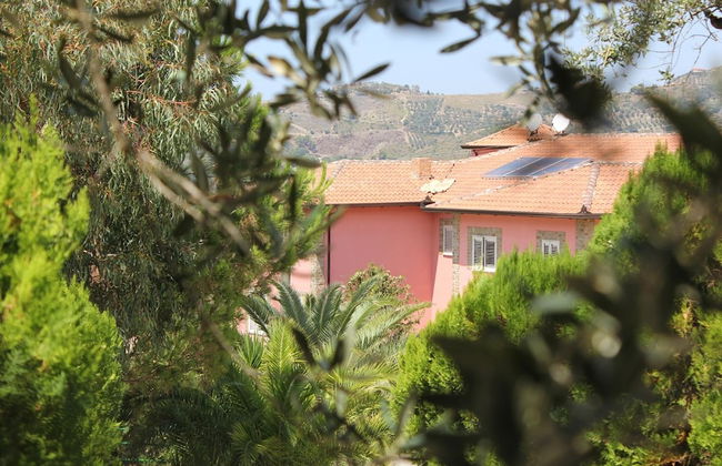 Agriturismo Eucalipto - Photo 22