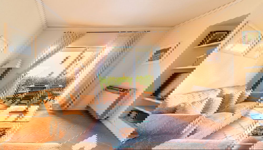 Imagem principal