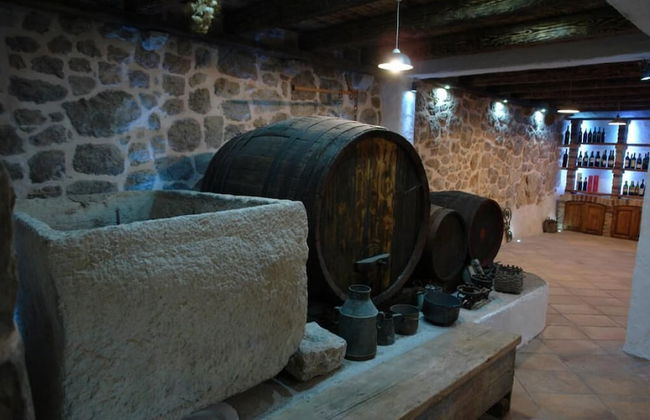 Rilović House - Photo 38