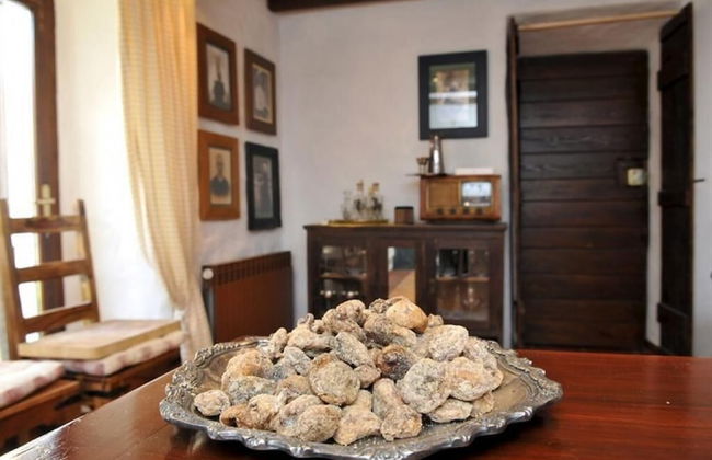 Rilović House - Photo 9