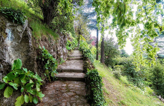 Fairy Tale - I Tigli - Foto 9