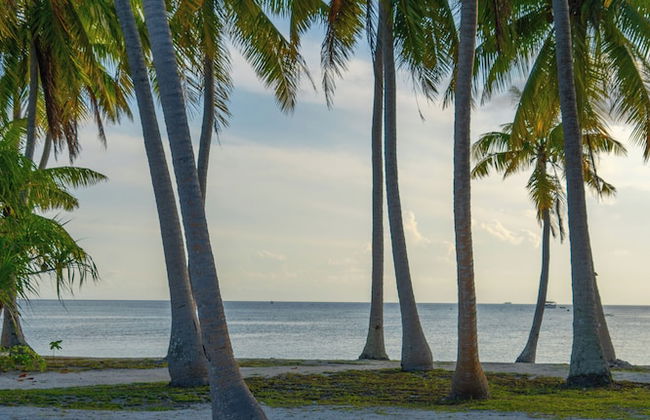 Motu Fara Private Island - Foto 44