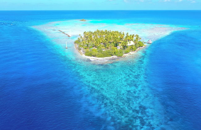 Motu Fara Private Island - Foto 61