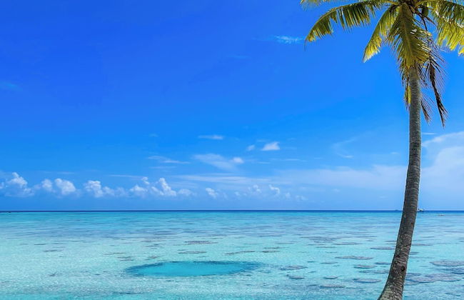 Motu Fara Private Island - Foto 60