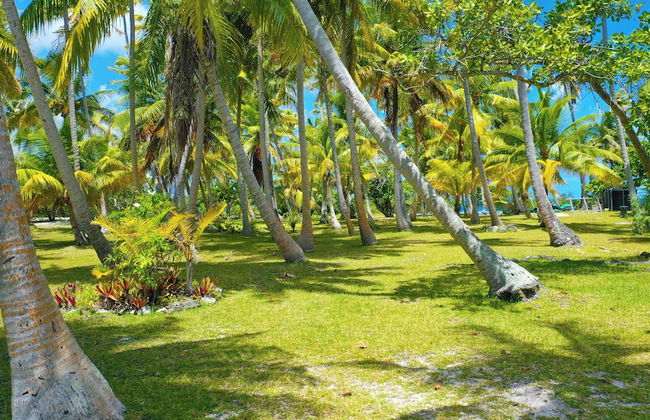 Motu Fara Private Island - Foto 63