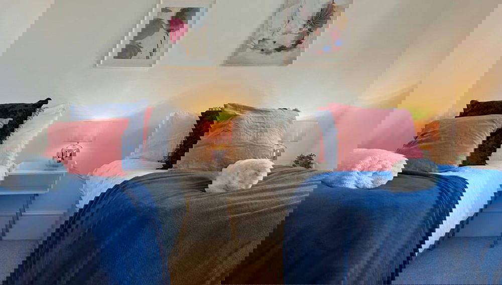 Immagine principale