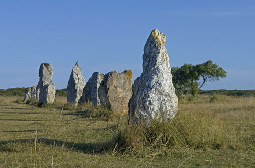 Photo 7 - VVF Fouesnant Les Glénan