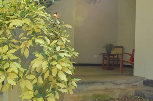 Photo 41 - Charming & Historical 3-bed Bungalow in Hikkaduwa
