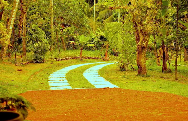 Charming & Historical 3-bed Bungalow in Hikkaduwa - Foto 30