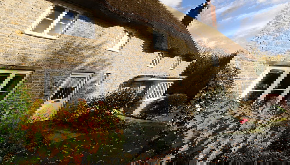 Primary image