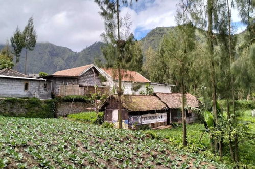 Photo 16 - Villa Tengger Asri 5 Gunung Bromo