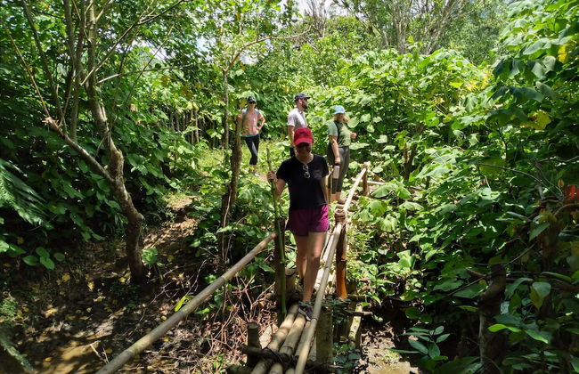 Namosi Eco Retreat - Foto 21