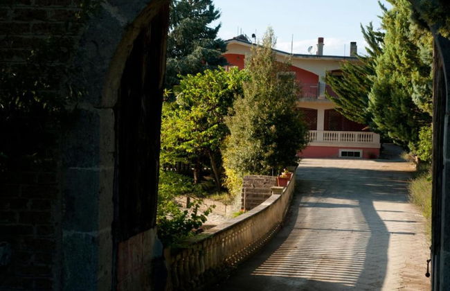 Agriturismo Petrilli - Foto 46