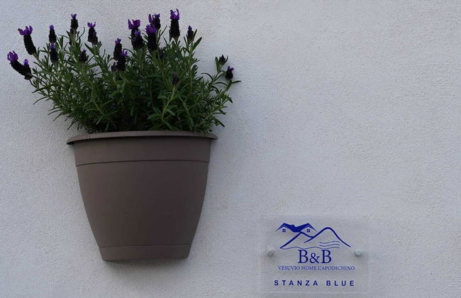 Vesuvio Home Capodichino - Photo 8