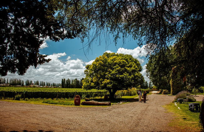 Lodwine Lodges - Foto 19