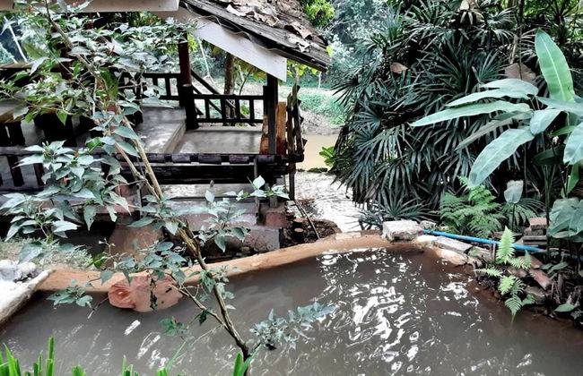 The Cascade - Mae Taeng Waterfall Bungalows - Foto 31