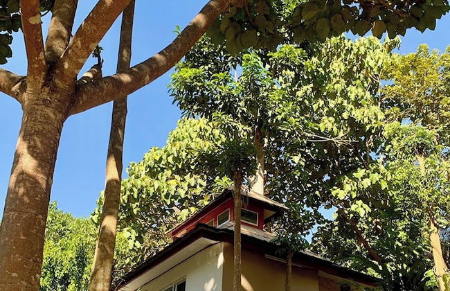The Cascade - Mae Taeng Waterfall Bungalows - Foto 36