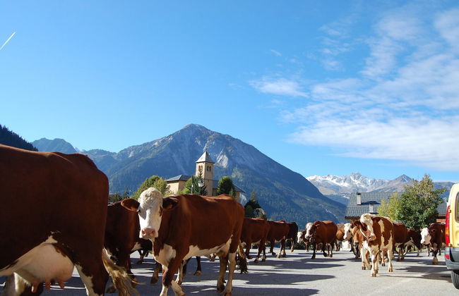 4-6 Pers. Holiday Appartment Near Center of Champagny - Foto 54