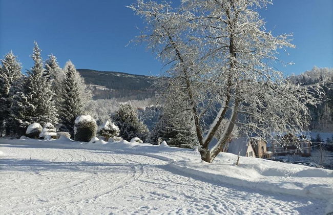 Attractive Apartment in Rokytnice nad Jizerou Near Ski Area - Foto 72
