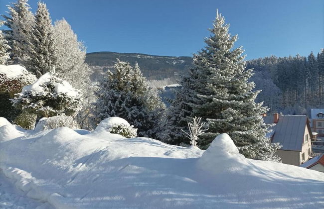 Attractive Apartment in Rokytnice nad Jizerou near Ski Area - Foto 40