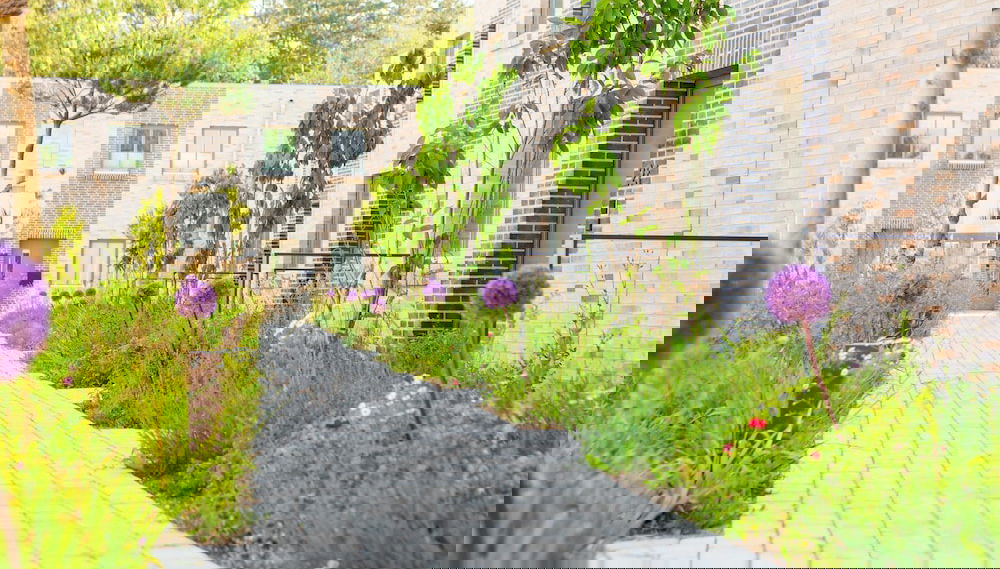 Image principale
