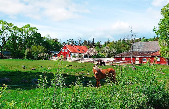 6 Person Holiday Home in Bolmso - Foto 24