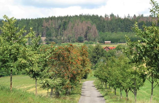 Comfortable Apartment in Nemojov Near Forest - Foto 78