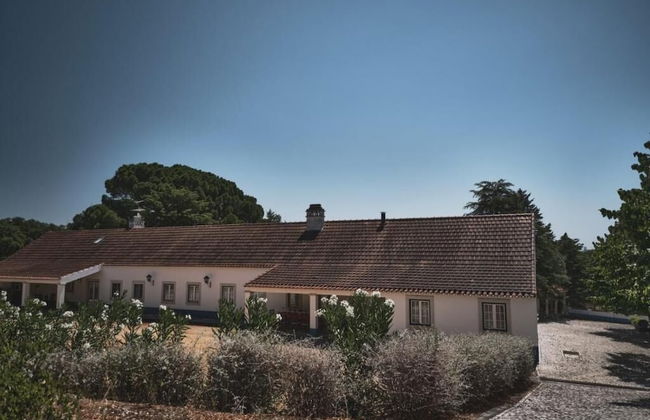 Quinta dos Anjos - Photo 49
