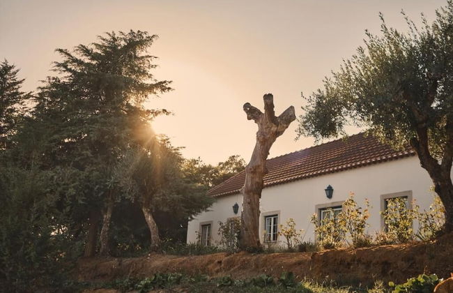 Quinta dos Anjos - Photo 43