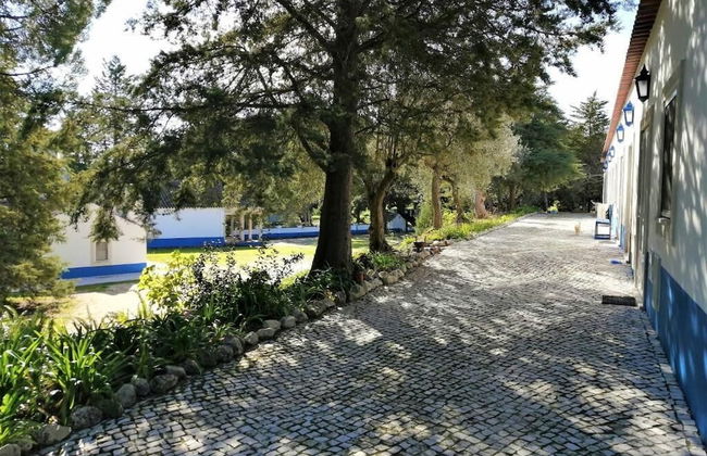 Quinta dos Anjos - Photo 38