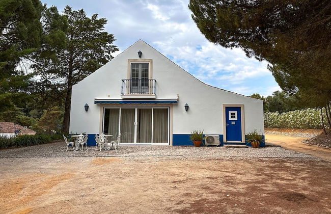 Quinta dos Anjos - Photo 52
