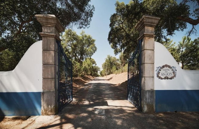 Quinta dos Anjos - Photo 50